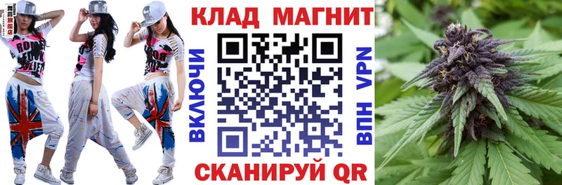 Наркошоп купить А ПВП  Галлюциногенные грибы  Гашиш  Мефедрон  Дрезна